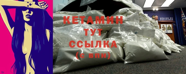 шишки Дмитровск